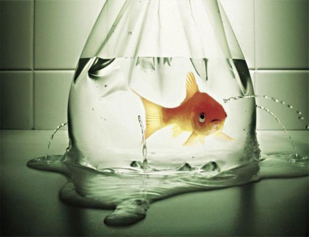 Rüyada Aciz Görmek