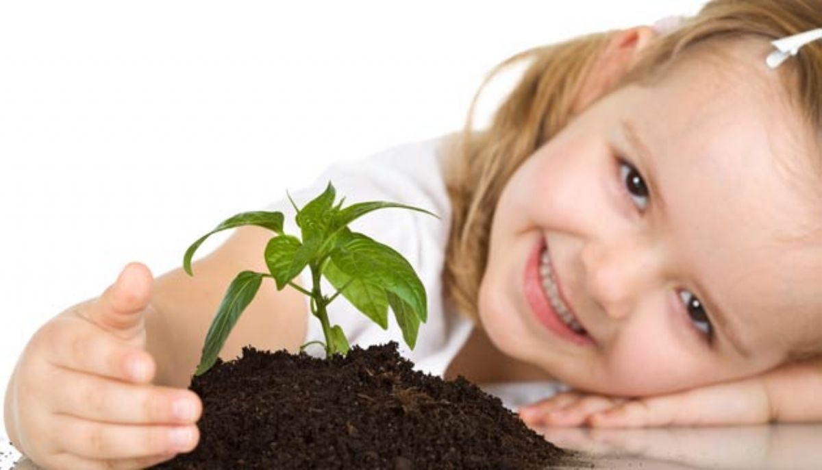 Rüyada Ağaç dikmek görmek