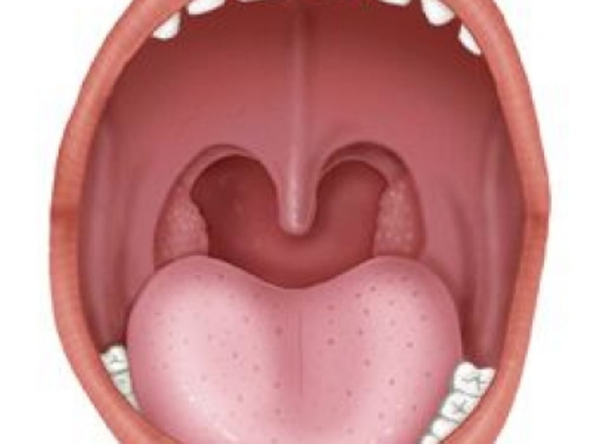 Rüyada Bademcik görmek