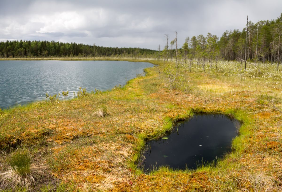 Rüyada Bataklık görmek