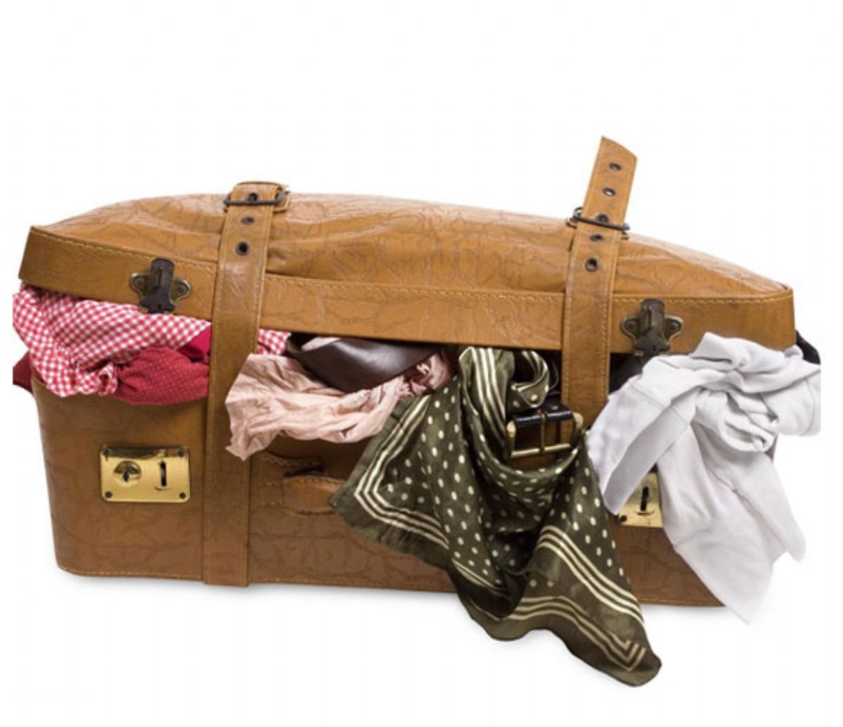 Rüyada Bavul görmek