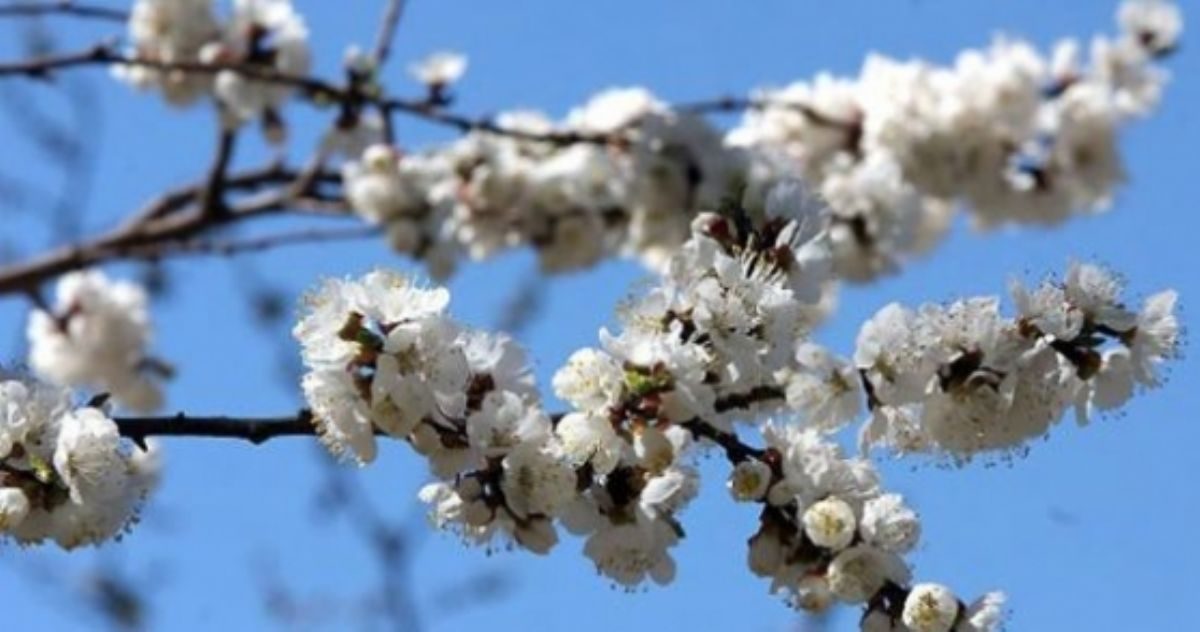 Rüyada Cemre görmek