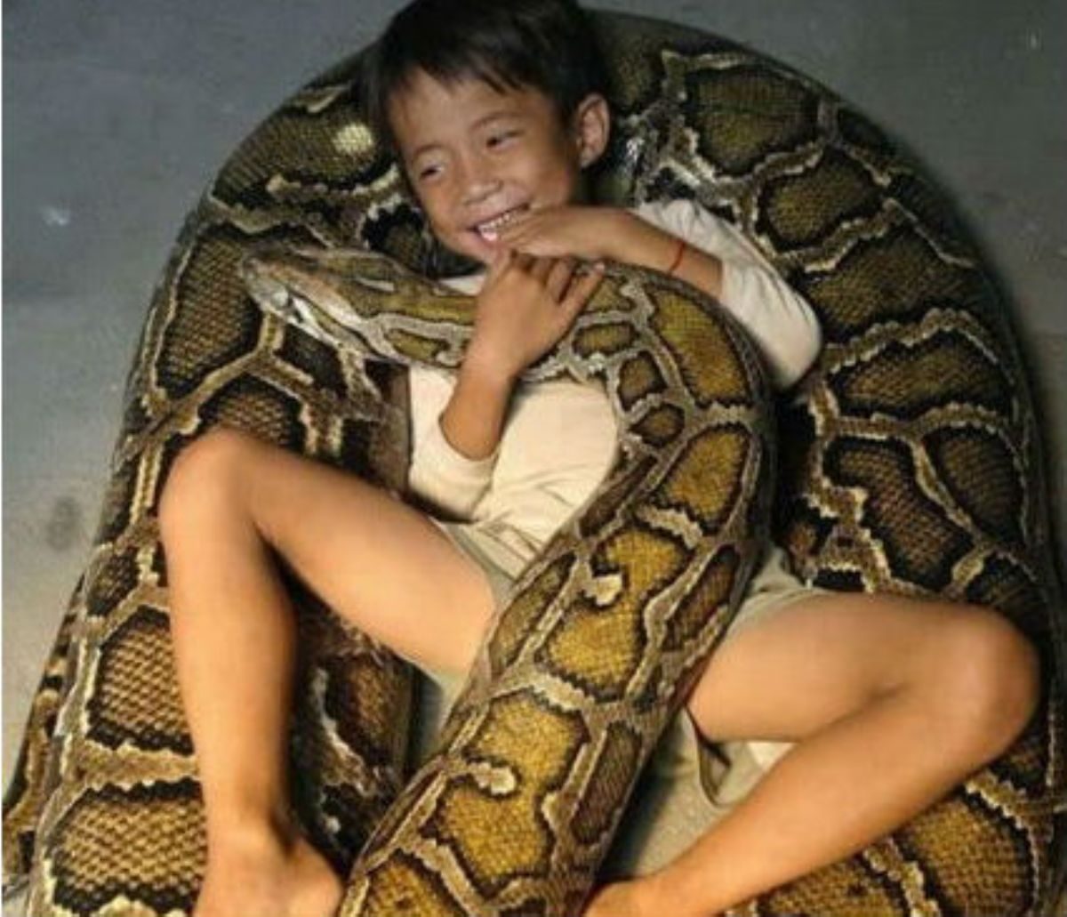 Rüyada Cesur Görmek