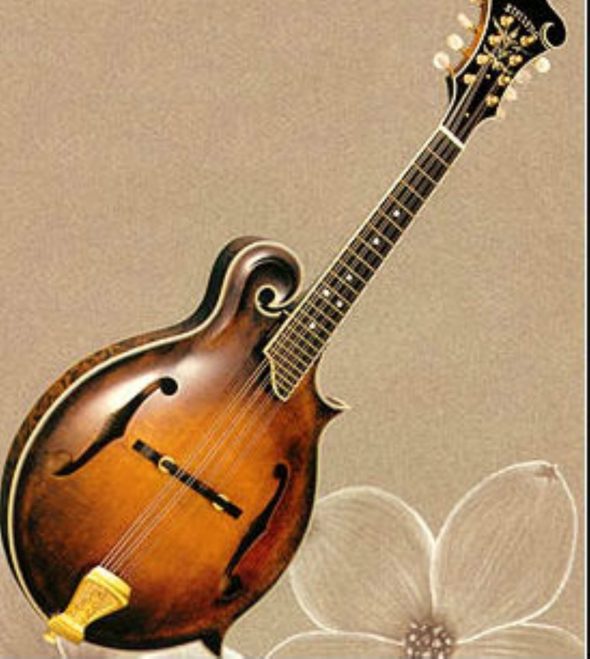 Rüyada Mandolin görmek