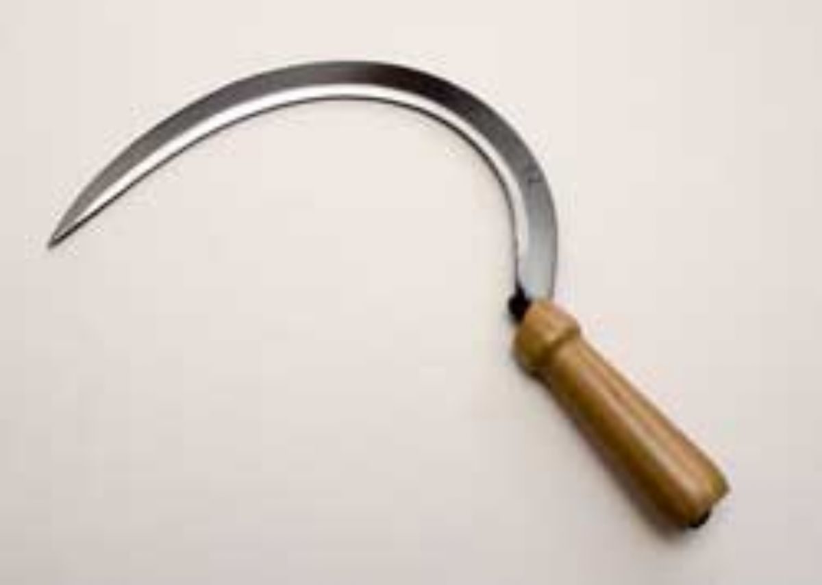 Rüyada Orak görmek