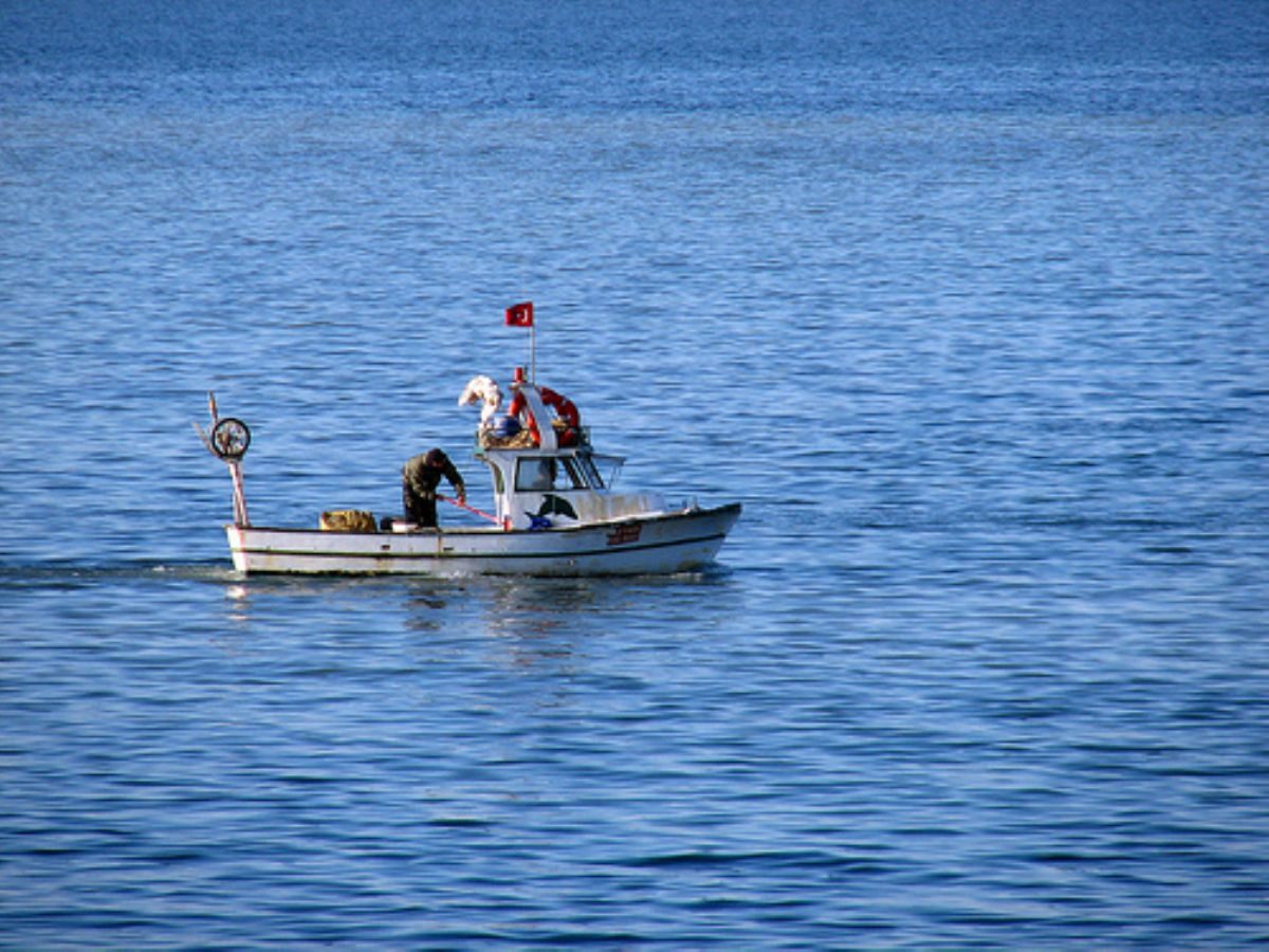 Rüyada Taka görmek